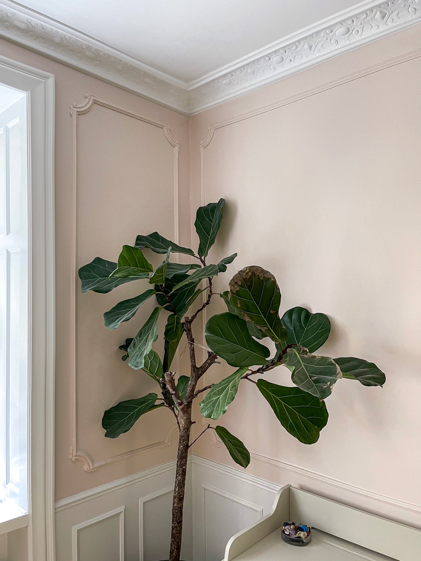 Kulmakoriste HL354-4