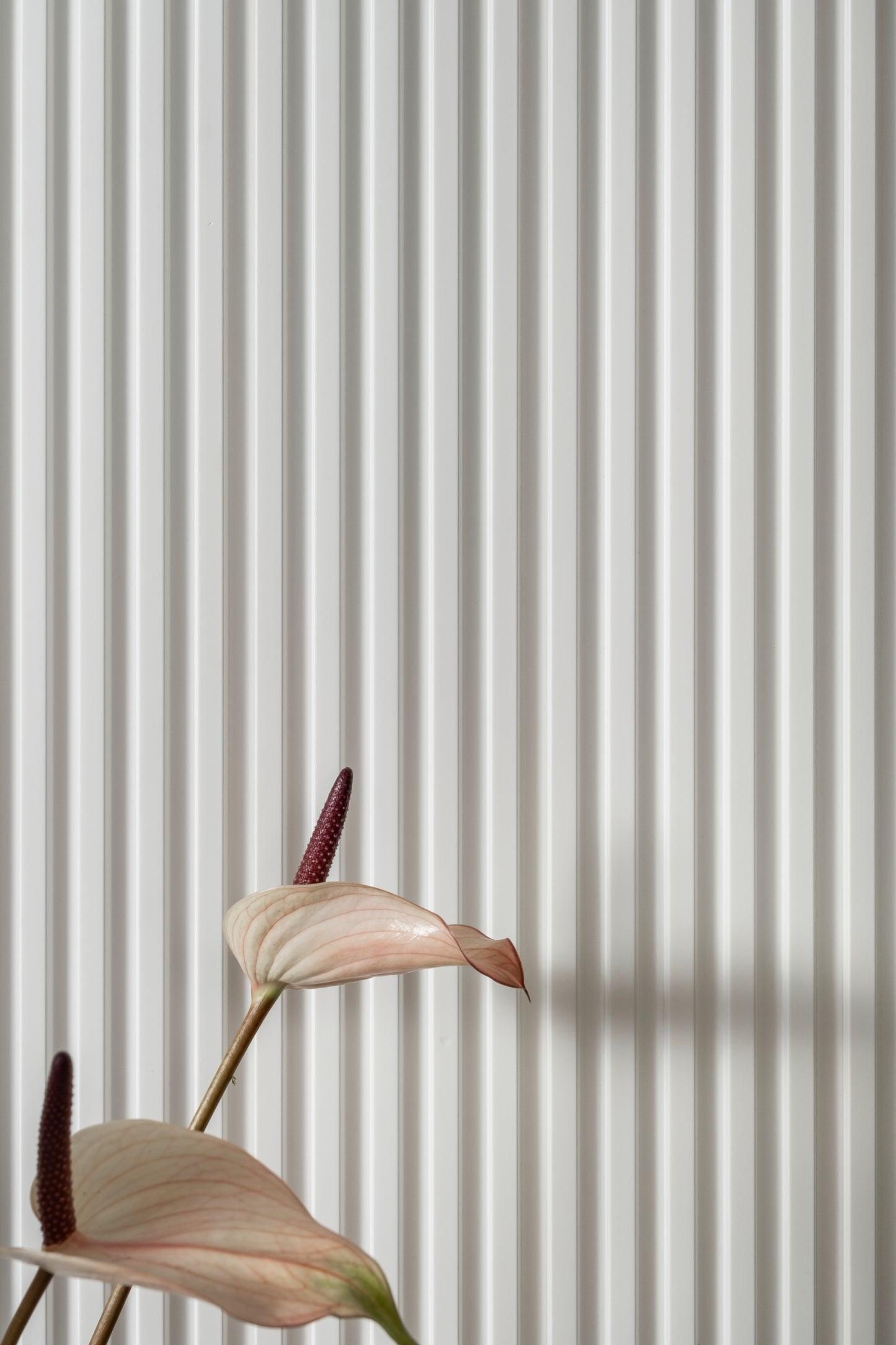 3D seinäpaneelit L0101T